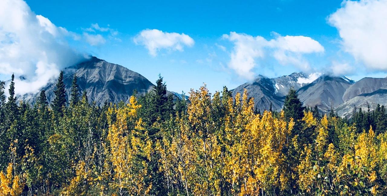 Mount Logan Ecolodge Хейнс-Джанкшен Экстерьер фото